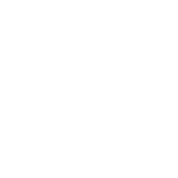 Protetyka kopia